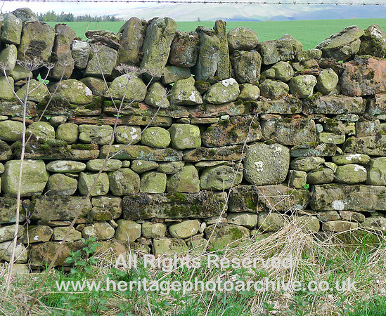 HRS 9043 Skirwith Low Moor, Dry stone wall L1150281