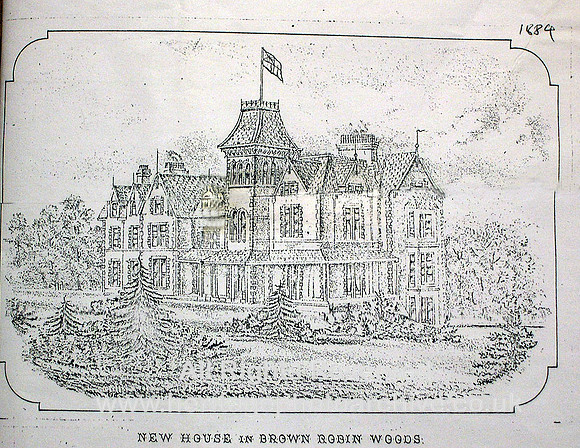 New House in Brown Robin Woods