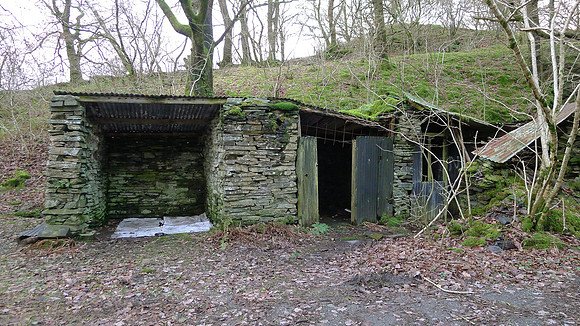 HRS 10593 Coniston, remains of quarry workshops SD 29774 97414 L1190709