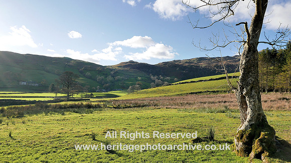 HRS 8645 Longsleddale, Stockdale dry stone wall L1170071 (2)