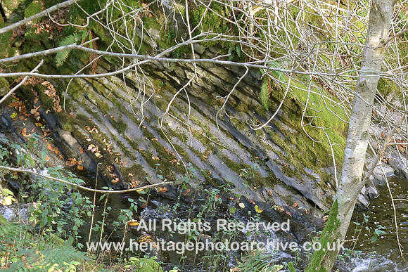 HRS 8649 Longsleddale, Stockdale beck, Coniston limestones L1170065
