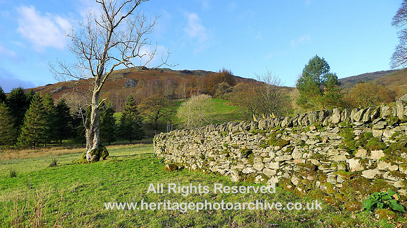 HRS 8646 Longsleddale, Stockdale dry stone wall L1170071