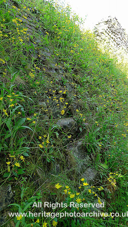 HRS 6614 Kiln access steps east side
