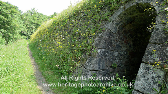 HRS 6605 Hoffman kiln west side looking north