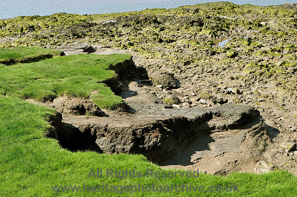 HRS 6991 Silverdale, eroded saltmarsh
