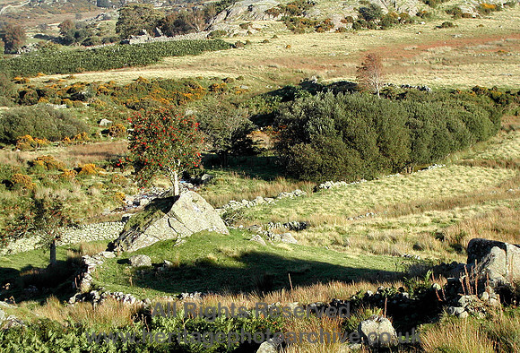 HRS 1060 Medieval landscape Cerrig Cochion 2003