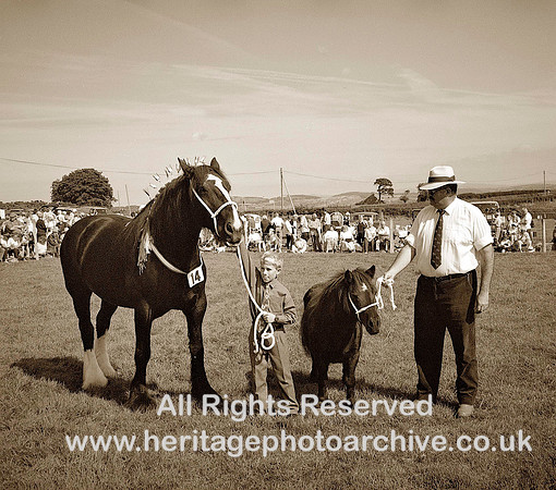 HRS 2655 Winner Welsh show above St Asaph