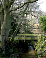 HRS 2135 Whitecombe Beck, Whicham Valley