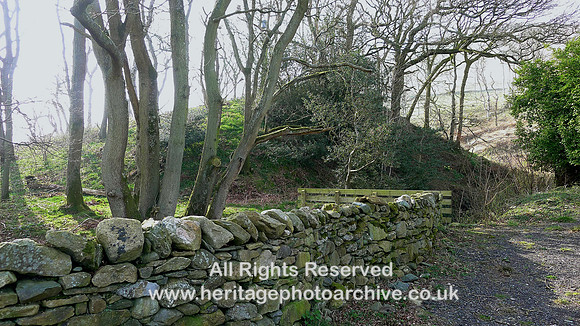 HRS 2146 Whicham Valley, Ralliss