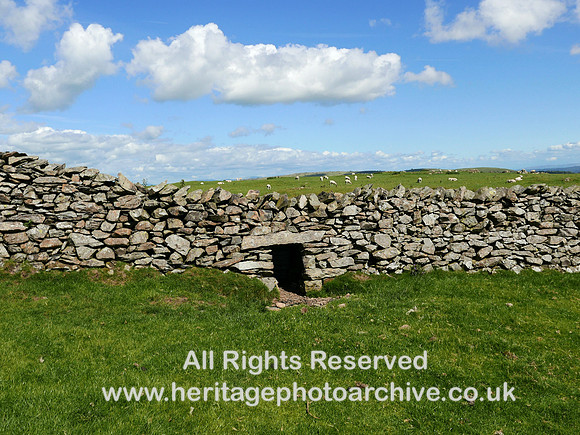HRS 5614 Howbarrow drystone wall and hog-hole L7750515