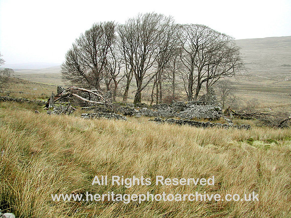 HRS 5120 Cynefail near Llyn Celyn 2010