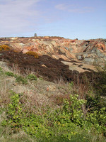 HRS 230 Parys Mountain Copper Mine vert