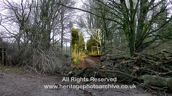 HRS 10757 Cartmel, Trees blocking road after Storm Alwen Dec 2021