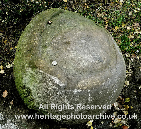 HRS 10759 Lancaster, Wiliamson Park, Pendle grit, concretion in sandstone