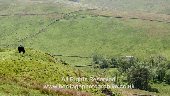 HRS 11001 Sleddale Valley
