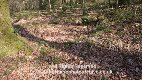 HRS 7717 Roudsea wood, potash pit