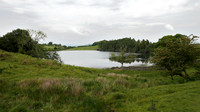 HRS 108951 Bigland Tarn, looking eastward