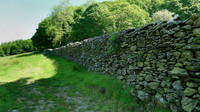 HRS 108950 Bigland Hall, field, drystone wall