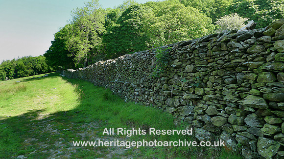 HRS 108950 Bigland Hall, field, drystone wall