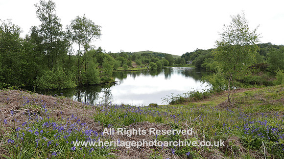 HRS 108939 Otter Tarn looking eastward bluebells