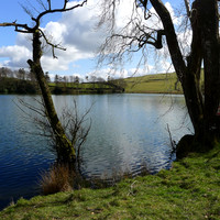 HRS 108942 Bigland Tarn, old tree trunk in water