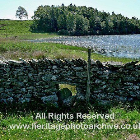 HRS 108960 Bigland Tarn, Hogg hole