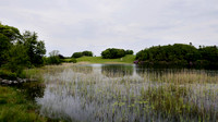 HRS 108941 Bigland Tarn, view eastward 2020