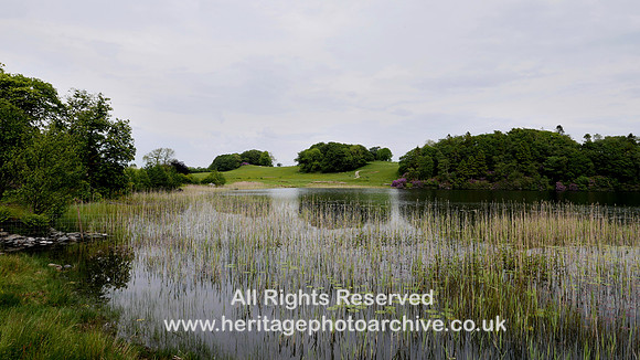HRS 108941 Bigland Tarn, view eastward 2020