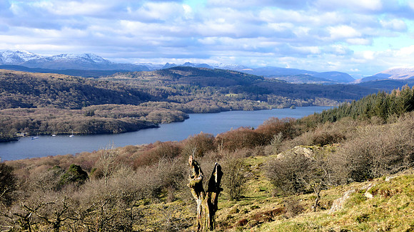HRS 10731 Windermere from Gummers How L1000783