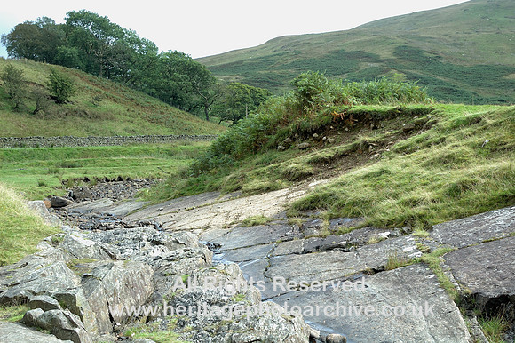 HRS 8363 Barbondale exposed strata DSC_0234