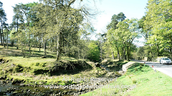 HRS 1543 Trough of Bowland, west view of stream