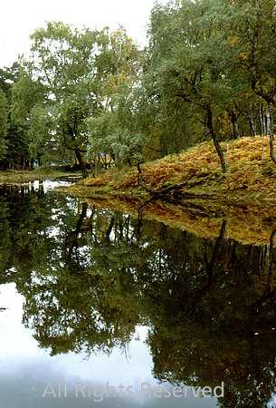 Lanty's Tarn, Patterdale in the fall