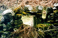 Appletreeworth Beck, Hoghole and squeeze stile