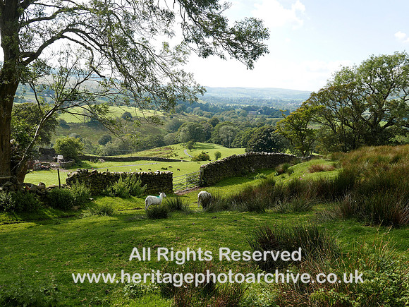 HRS 10683 Garsdale, Low Fawes area 2020 L7750638
