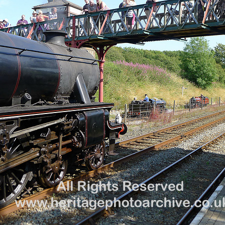 HRS 2043 David and Goliath Black Five 44932