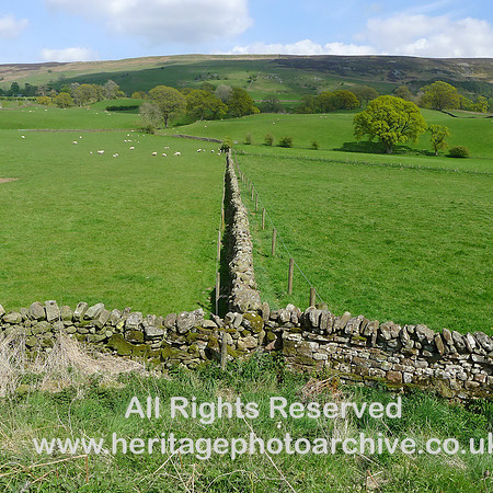 HRS 9048 Castle Carrock, field walls