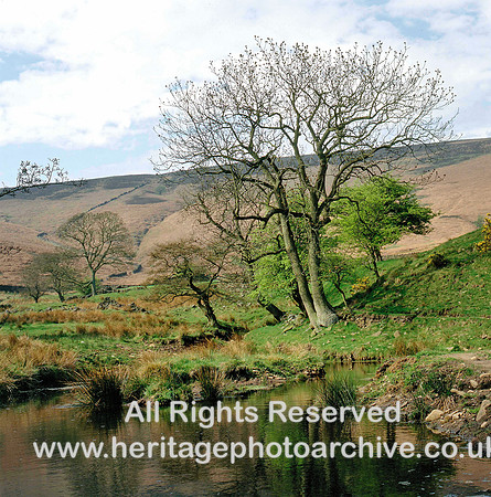 HRS 1620 Stainscombe Dole, pond and moraine 1980s