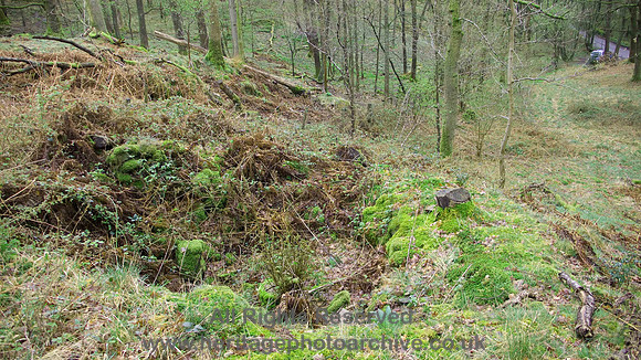HRS 1338 Coniston, High Barn Woods, potash kiln 2011
