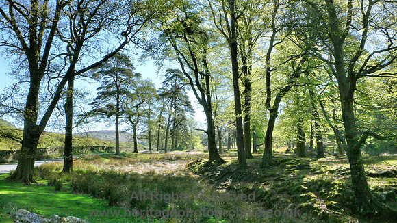 HRS 1542 Trough Bowland east view