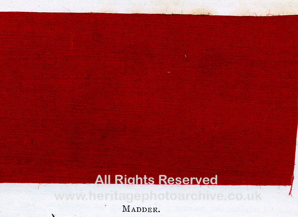 HRS 2034 Madder