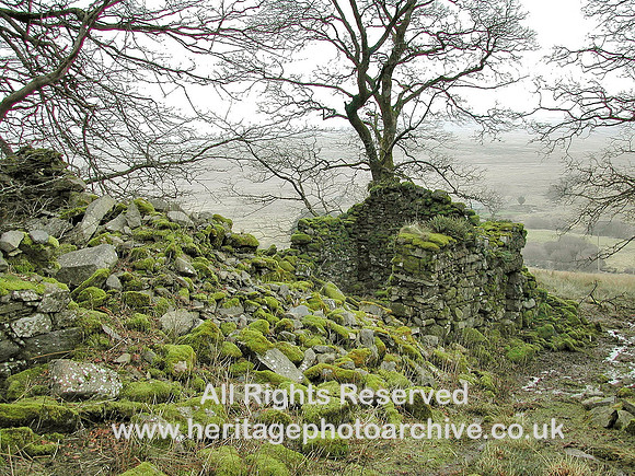 HRS 5118 Cynefail 2010