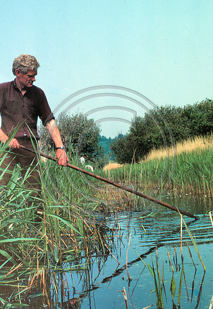 Dike clearing with pole JW 1982