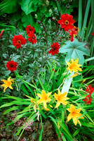 HRS 1202 Conwy, Bodnant Gardens flowers  c2000