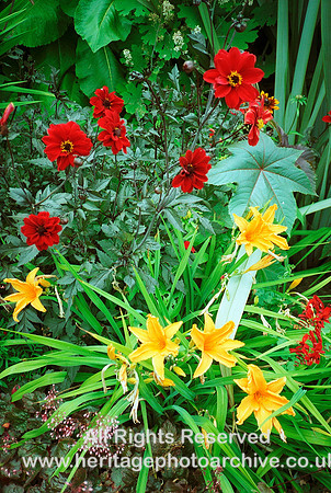 HRS 1202 Conwy, Bodnant Gardens flowers  c2000