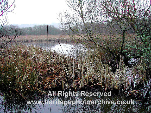 HRS 401 Malltraeth Marsh Pentre Berw
