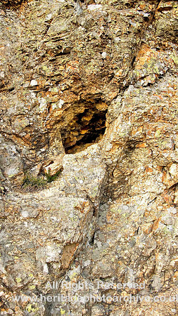 HRS 1110 Sychnant Pass, faulting