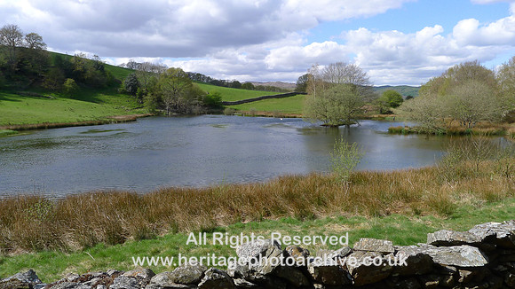 HRS 2253 Bouth, Haybridge Nature Reserve, lake