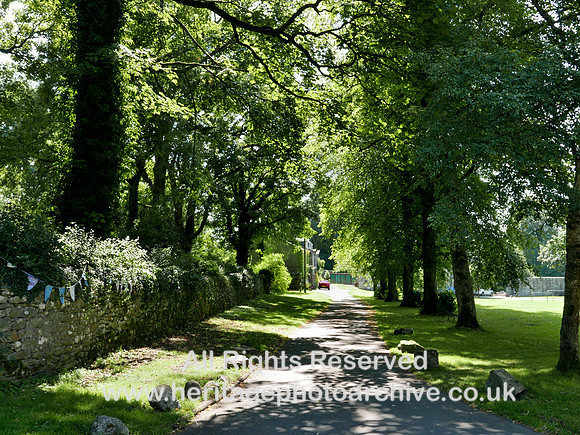 HRS 11268 Langcliffe, avenue of trees 2022
