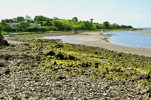 HRS 6990  Silverdale, scoured saltmarsh showing rock