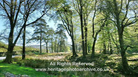 HRS 1542 Trough of Bowland, east view